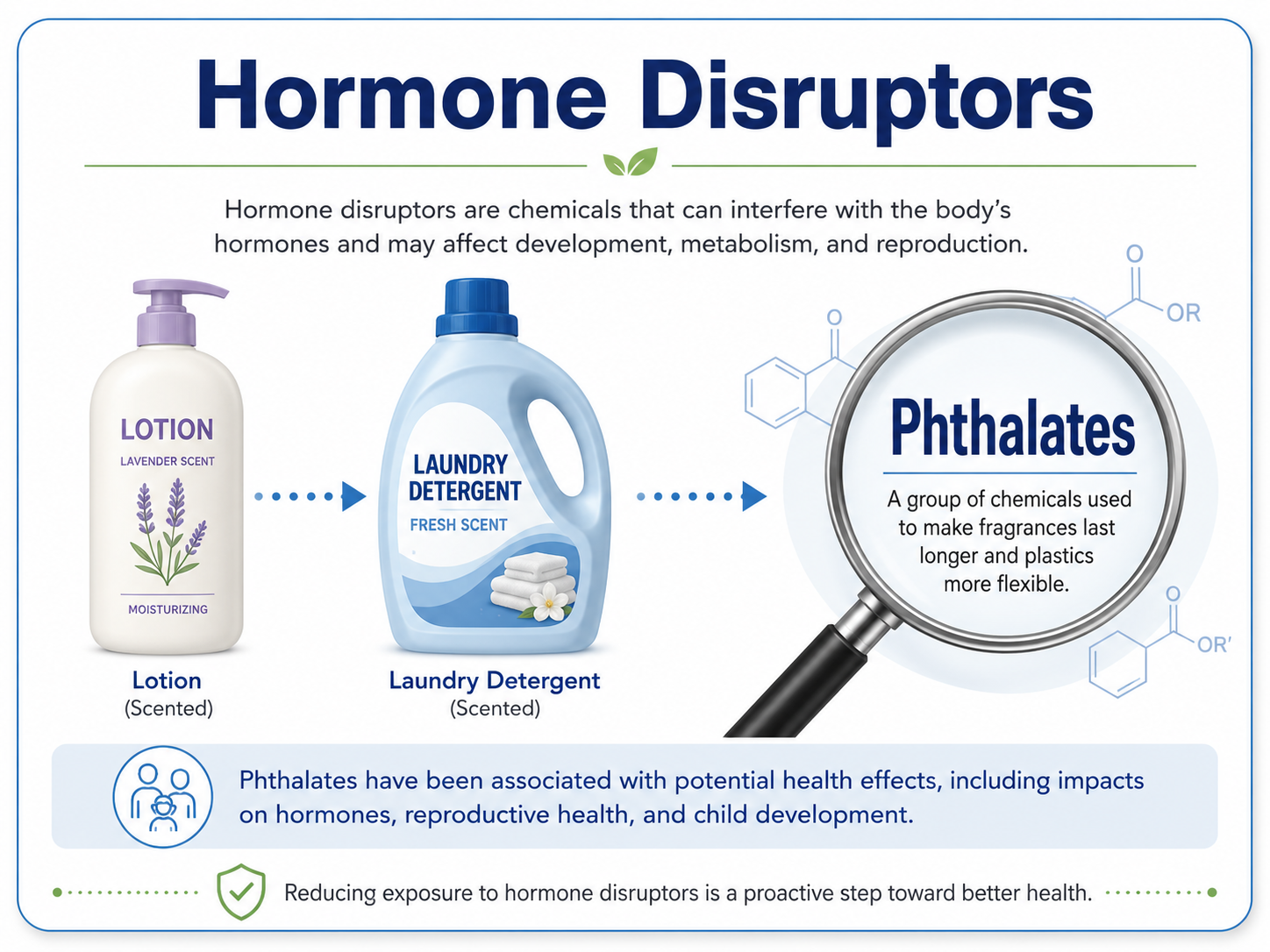 An infographic titled Hormone Disruptors showing scented lotion and laundry detergent bottles pointing to a magnified view of phthalate molecules, with a note that phthalates make fragrances last longer
