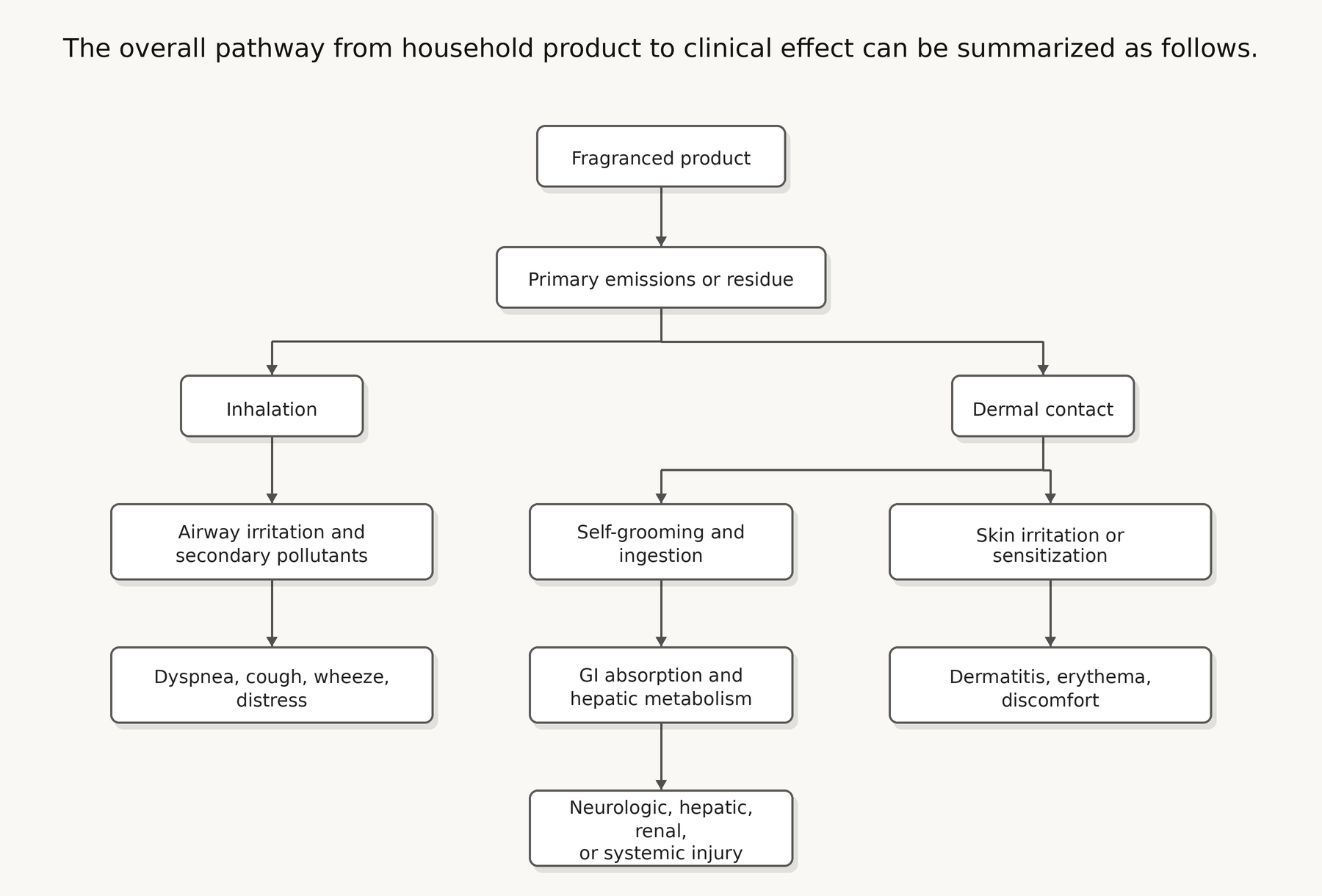 Flowchart showing the pathway from a fragranced product through primary emissions to inhalation and dermal contact, leading to airway irritation, ingestion via self-grooming, and skin irritation