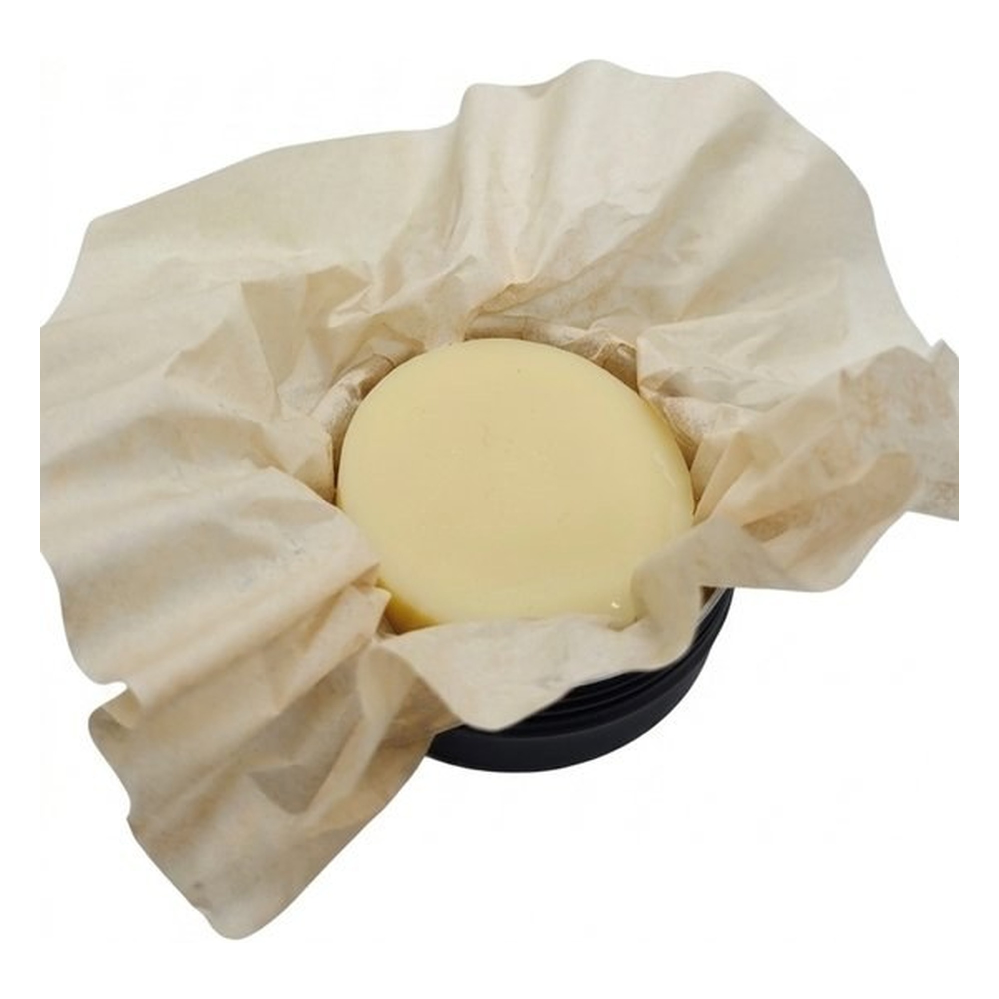 Cocoa & Mango Butter Lotion Bar
