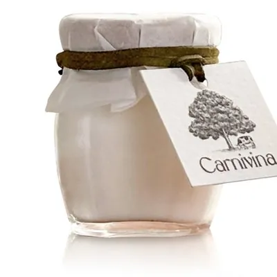 Whipped Tallow Face Cream